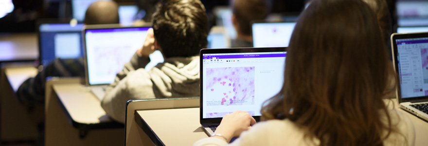 Student typing notes on her computer while in lecture